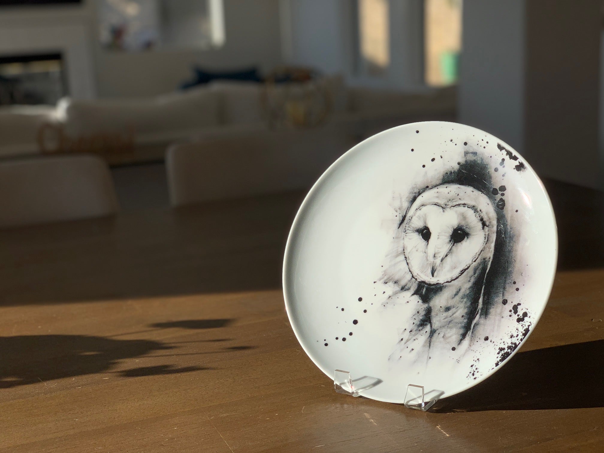 Owl dinner outlet plates